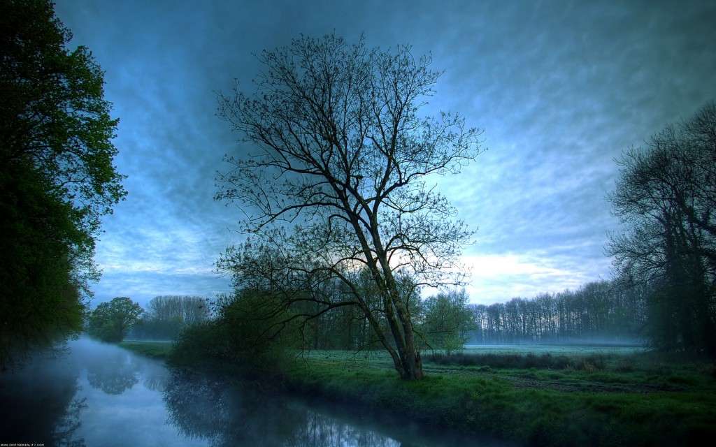 paysage-bleu