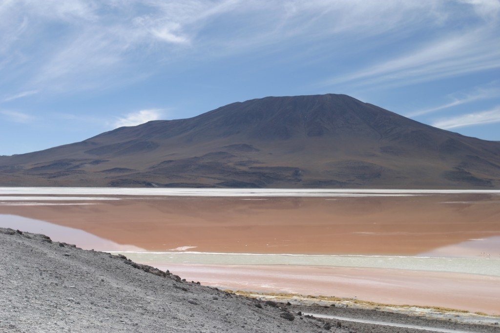 bol-lipez-lag col (8)