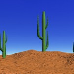 Landscape cactus in desert