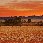 Kalahari Desert