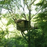 Les Noctam'bulles, cabane 2, Neorizons