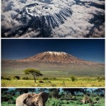 Kilimandjaro_neorizons_