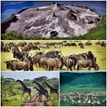 Tanzanie_2_neorizons