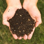 Compost_environnement_neorizons