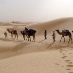 caravane_desert_tunisie_patricia_penot