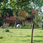 La_ferme_De_Speydonckhoeve_Neorizons