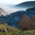 vosges_neorizons