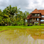 neorizons-Ubud-Bali