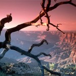 neorizons_voyage_usa_grand_canyon