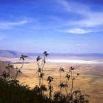 ngorongoro_tanzanie