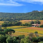 route_des_vins_provence