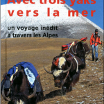 Avec-trois-yaks-vers-la-mer