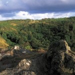 broceliande_bretagne