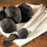 truffes-perigord