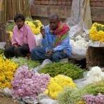 marche_fleurs_calcutta